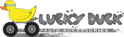 Lucky Duck | Auto Accessories